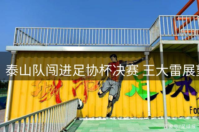泰山队闯进足协杯决赛 王大雷展望冠军奖杯