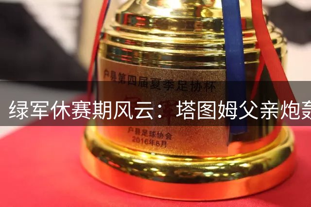 绿军休赛期风云：塔图姆父亲炮轰阵容 乔治交易引热议